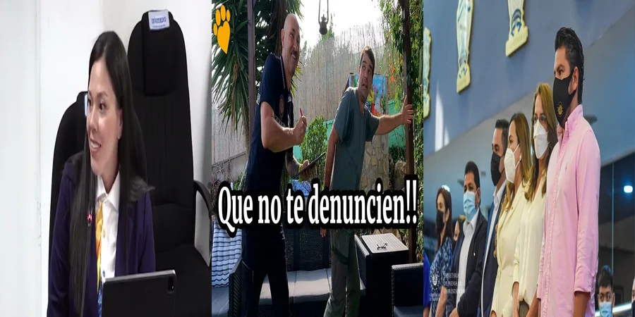 "Derechos de los Animales en México: Entendiendo la Nueva Ley"