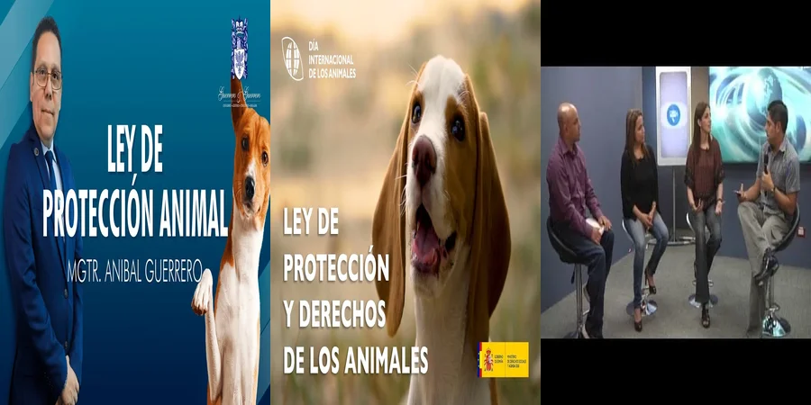 "Derechos de los Animales en México: Leyes que Debes Conocer"