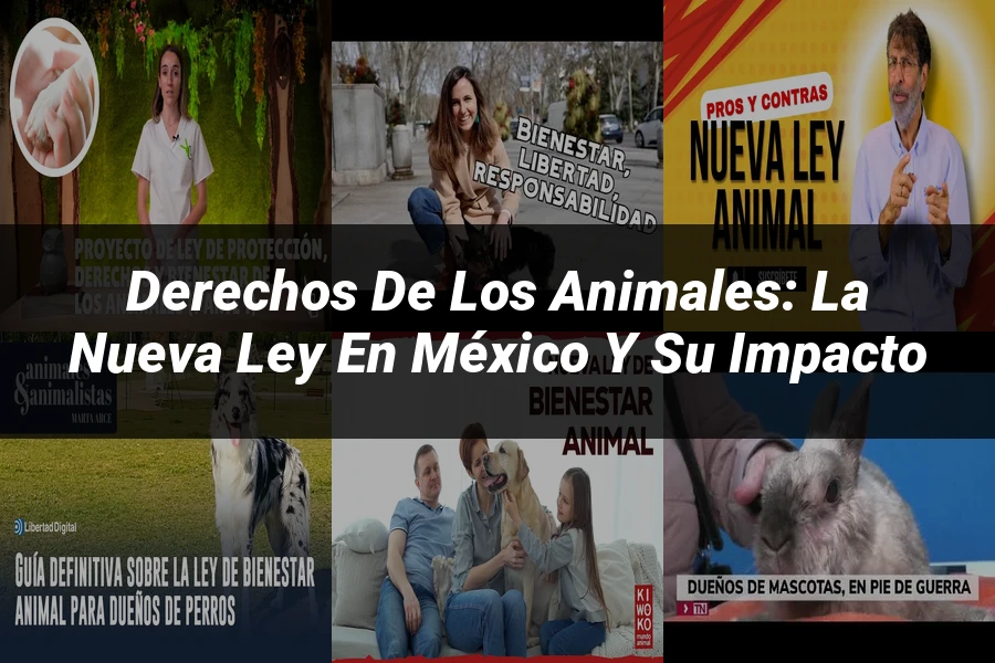 "Derechos de los Animales: La Nueva Ley en México y su Impacto"