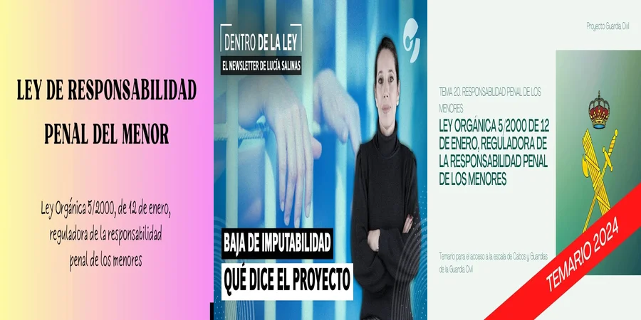 "Derechos de los Menores en el Sistema Penal Mexicano"