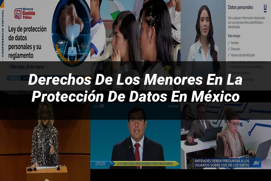 "Derechos de los Menores en la Protección de Datos en México"