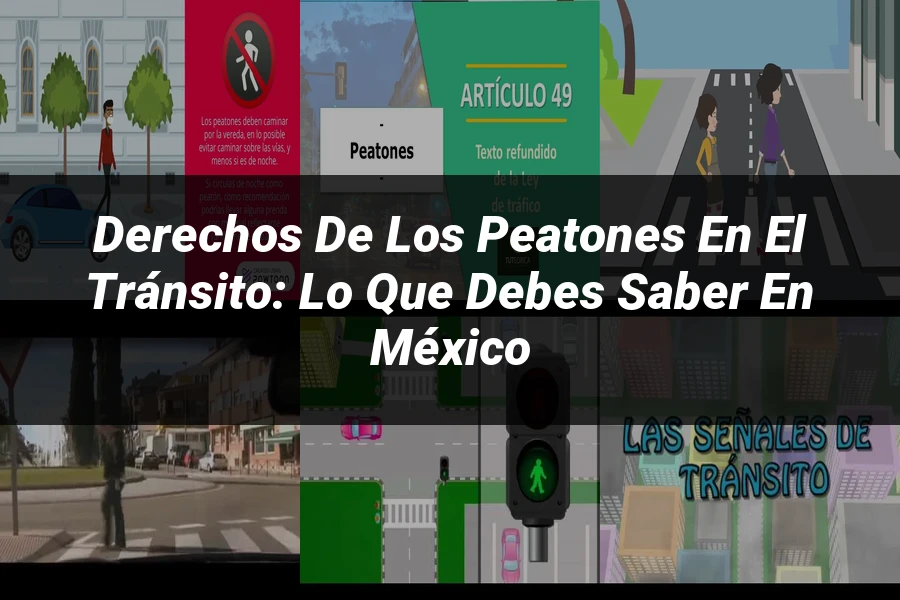 "Derechos de los Peatones en el Tránsito: Lo que Debes Saber en México"