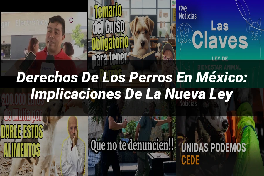 "Derechos de los Perros en México: Implicaciones de la Nueva Ley"