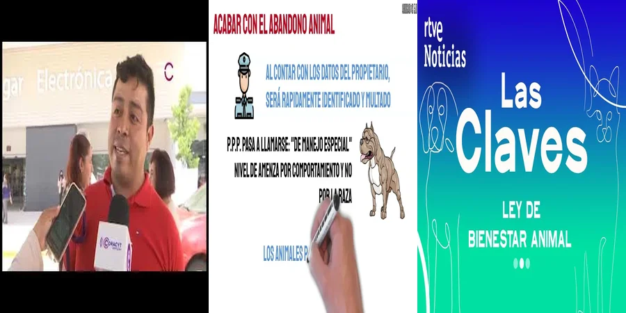 "Derechos de los Perros en México: Implicaciones de la Nueva Ley"