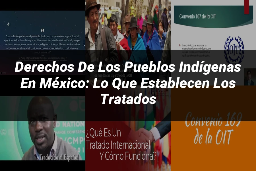 "Derechos de los Pueblos Indígenas en México: Lo que Establecen los Tratados"