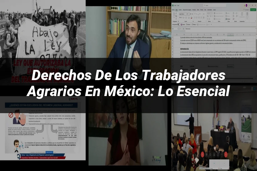 "Derechos de los Trabajadores Agrarios en México: Lo Esencial"
