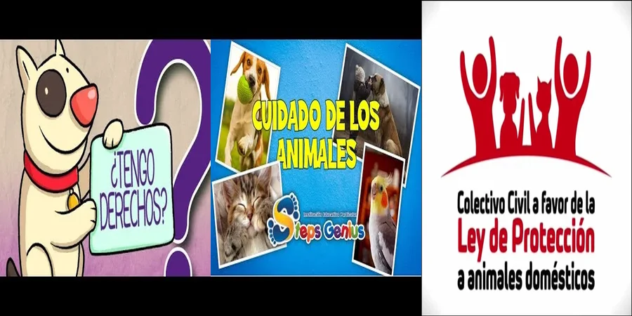 "Derechos de los animales domésticos en México: ¿Qué dice la ley?"