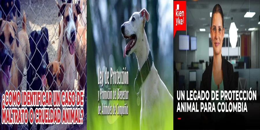 "Derechos de los animales en México: ¿Qué dice la ley?"