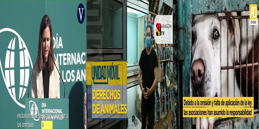 "Derechos de los animales en México: ¿Qué dice la ley?"