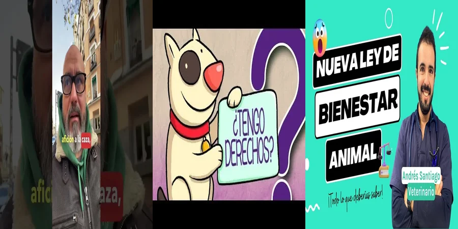 "Derechos de los animales en México: ¿Qué dice la ley?"