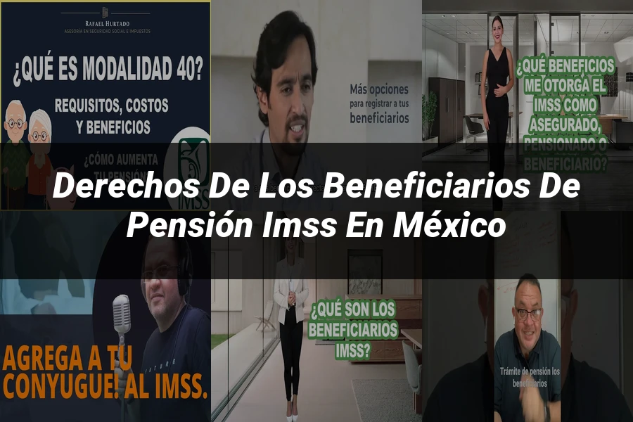 "Derechos de los beneficiarios de pensión IMSS en México"
