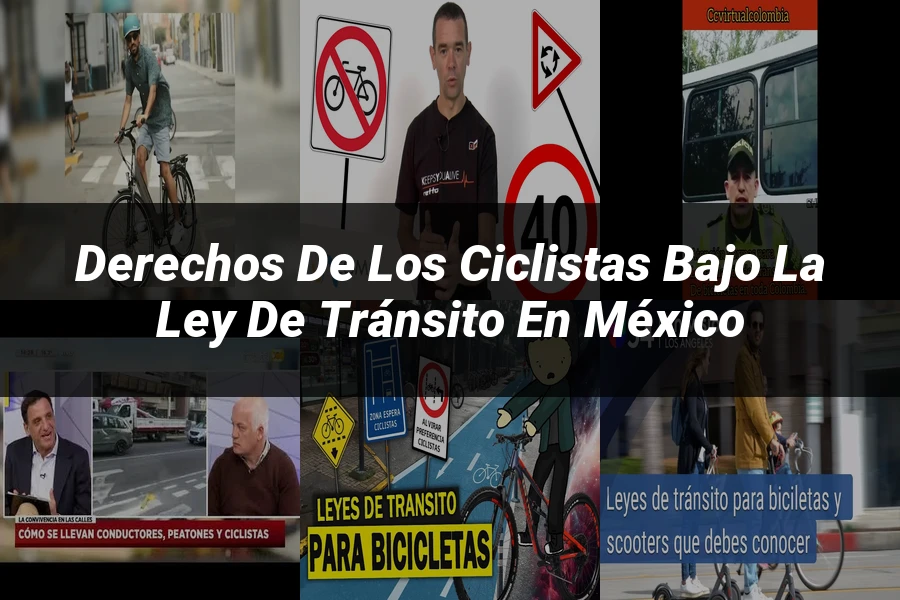 "Derechos de los ciclistas bajo la ley de tránsito en México"