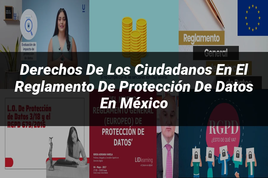 "Derechos de los ciudadanos en el reglamento de protección de datos en México"