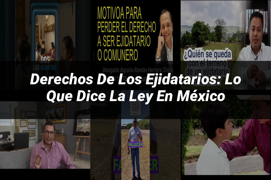 "Derechos de los ejidatarios: lo que dice la ley en México"