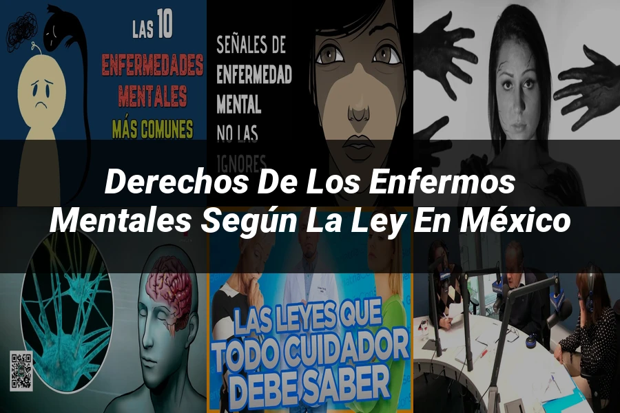 "Derechos de los enfermos mentales según la ley en México"