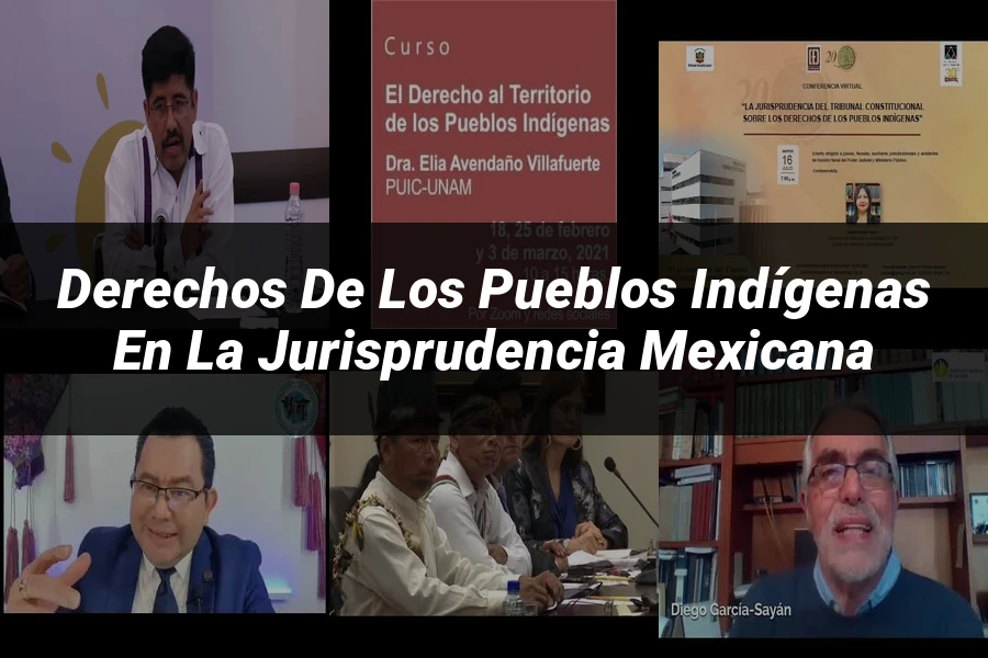 "Derechos de los pueblos indígenas en la jurisprudencia mexicana"