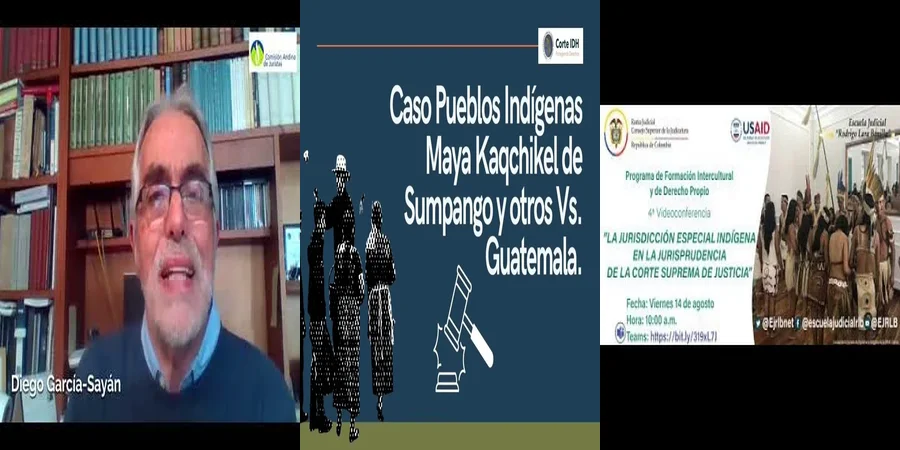 "Derechos de los pueblos indígenas en la jurisprudencia mexicana"