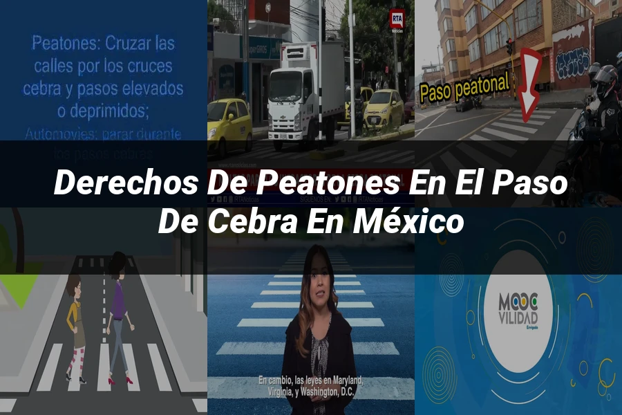 "Derechos de peatones en el paso de cebra en México"