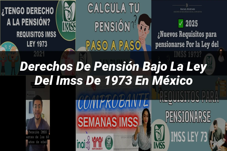 "Derechos de pensión bajo la ley del IMSS de 1973 en México"