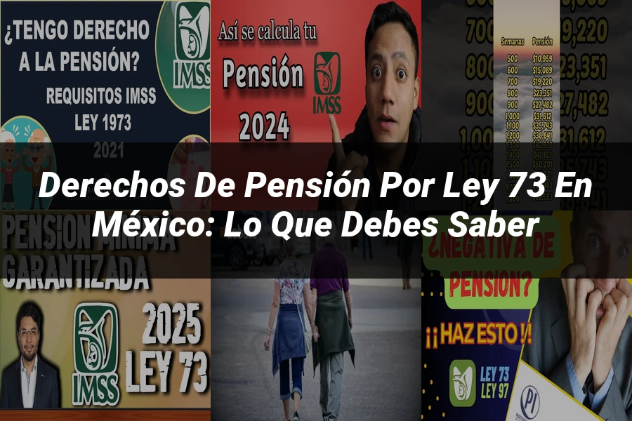 "Derechos de pensión por ley 73 en México: lo que debes saber"
