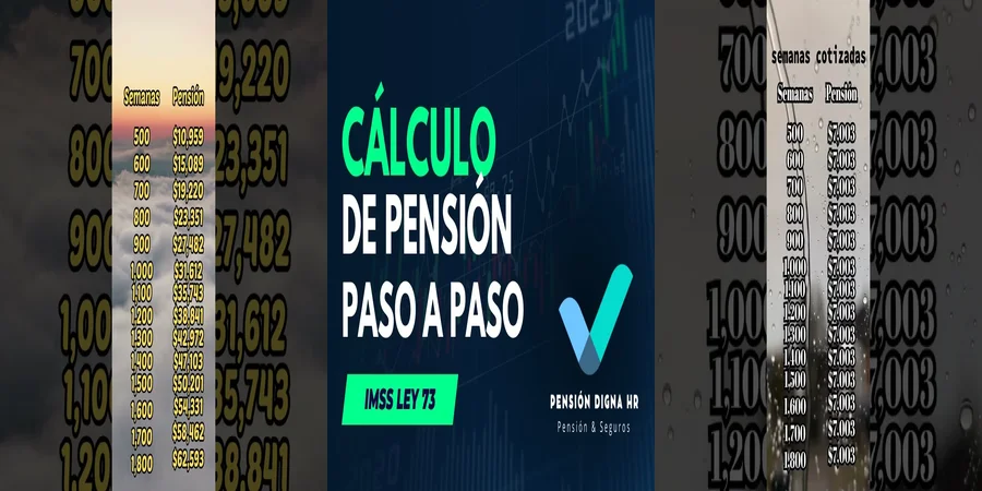 "Derechos de pensión por ley 73 en México: lo que debes saber"