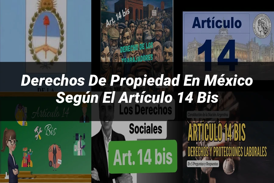 "Derechos de propiedad en México según el artículo 14 bis"
