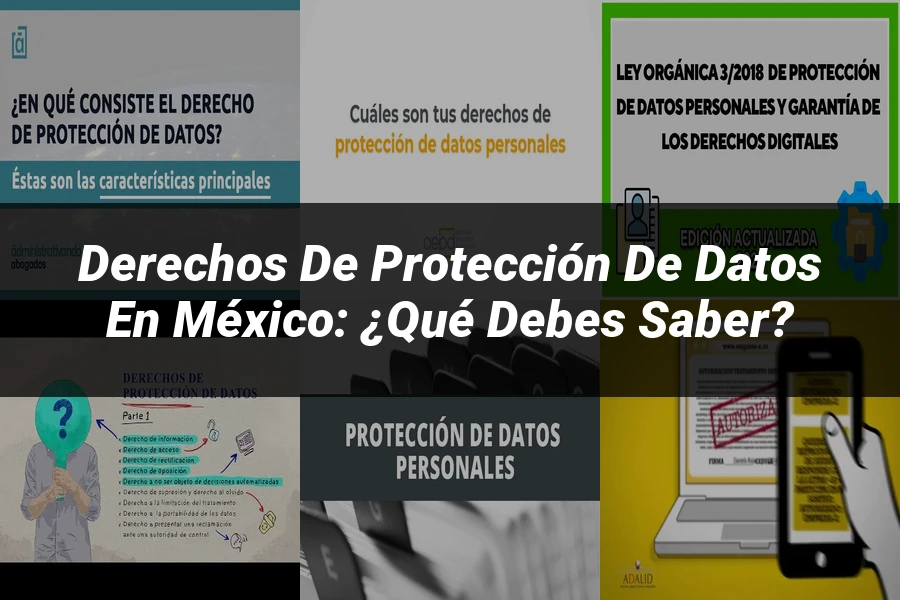 "Derechos de protección de datos en México: ¿Qué debes saber?"
