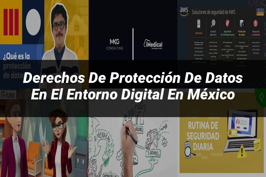 "Derechos de protección de datos en el entorno digital en México"
