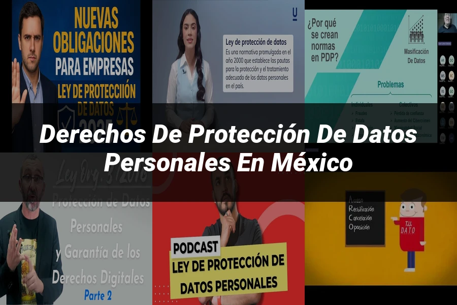 "Derechos de protección de datos personales en México"