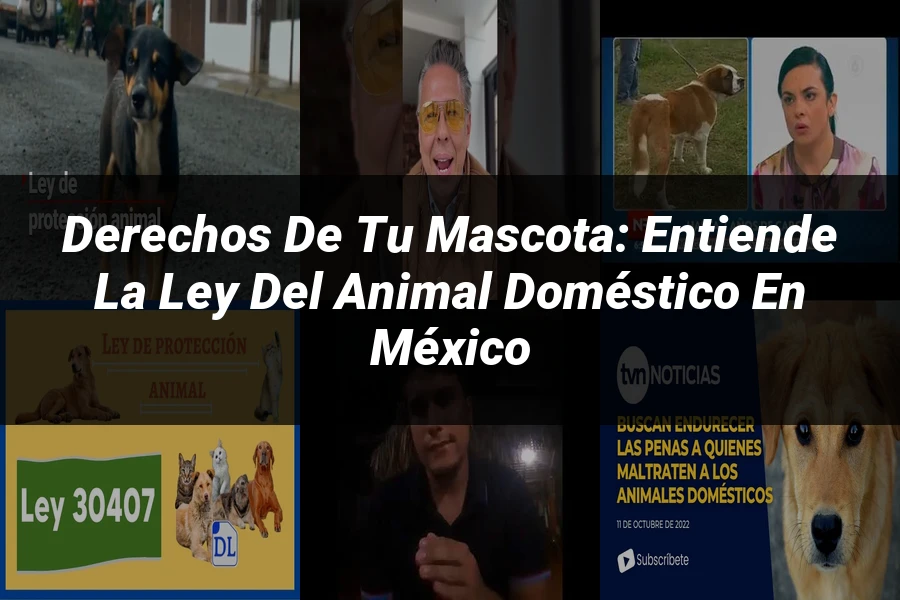 "Derechos de tu Mascota: Entiende la Ley del Animal Doméstico en México"