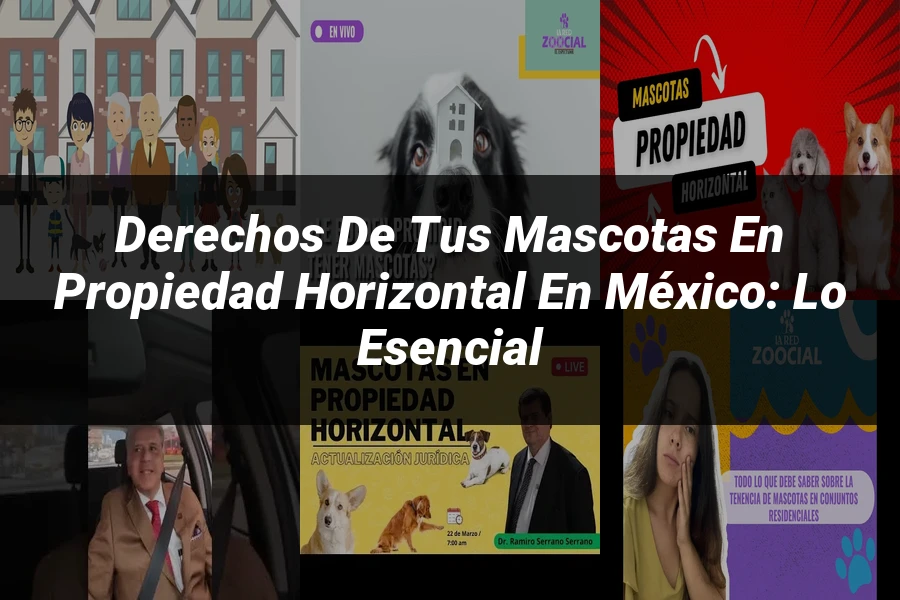"Derechos de tus Mascotas en Propiedad Horizontal en México: Lo Esencial"