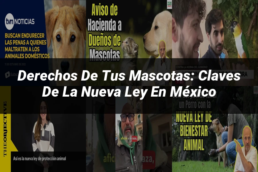 "Derechos de tus Mascotas: Claves de la Nueva Ley en México"