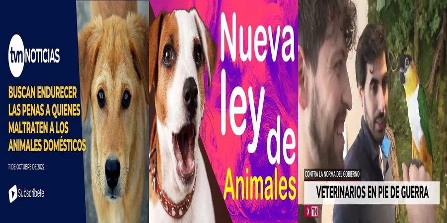 "Derechos de tus Mascotas: Claves de la Nueva Ley en México"