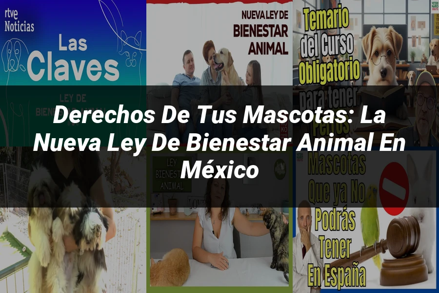 "Derechos de tus Mascotas: La Nueva Ley de Bienestar Animal en México"