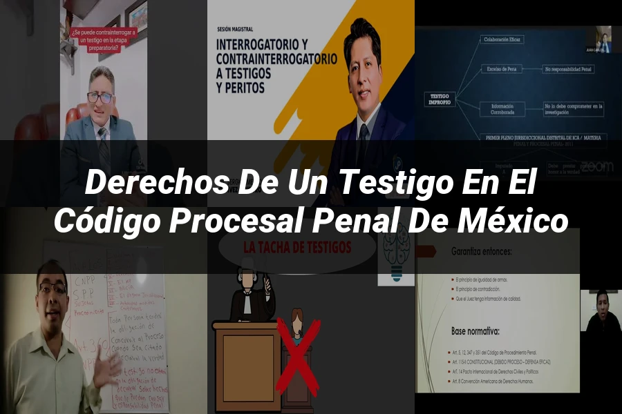 "Derechos de un Testigo en el Código Procesal Penal de México"