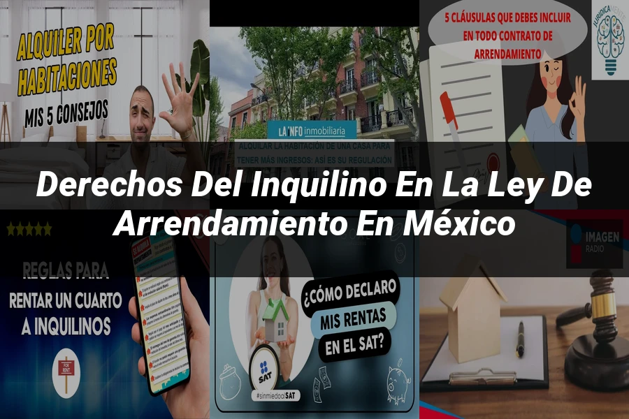 "Derechos del Inquilino en la Ley de Arrendamiento en México"
