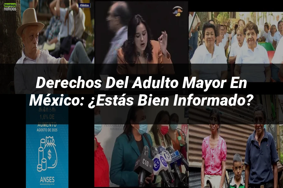 "Derechos del adulto mayor en México: ¿Estás bien informado?"