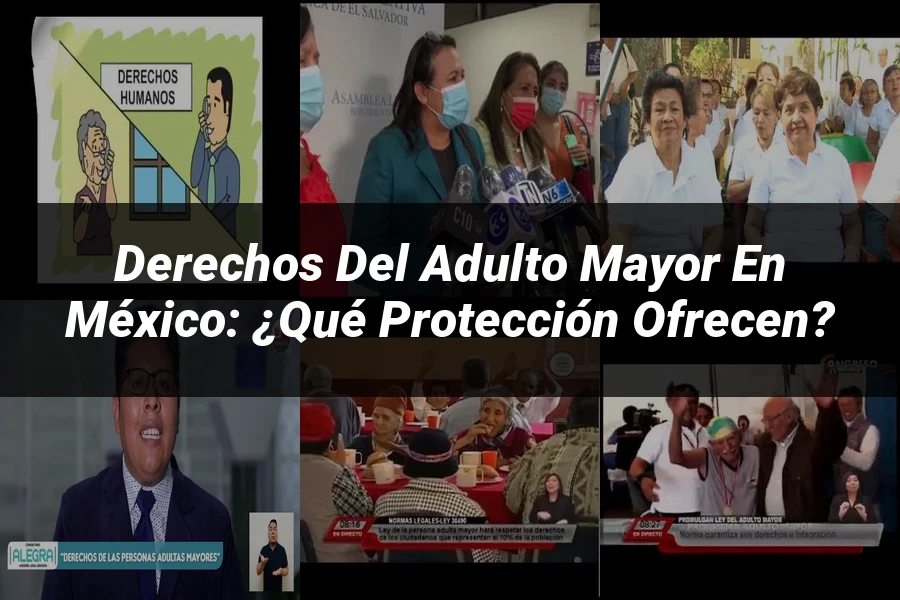 "Derechos del adulto mayor en México: ¿Qué protección ofrecen?"