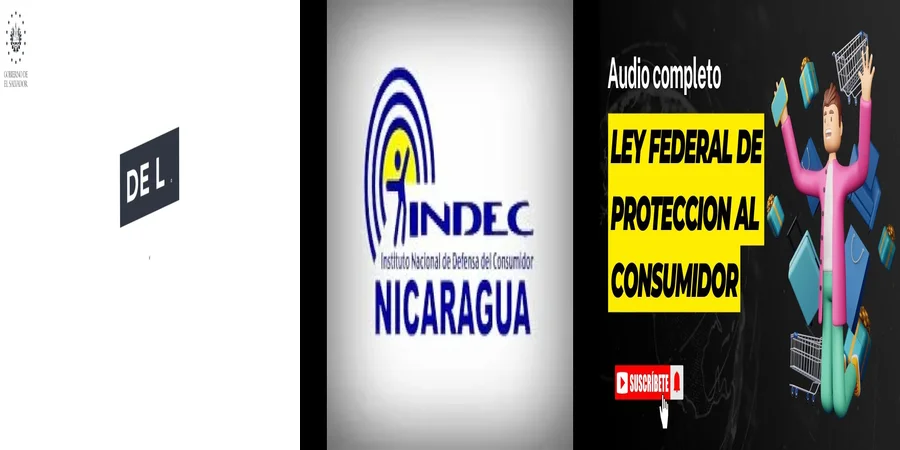 "Derechos del consumidor en México: ¿Qué debes saber?"
