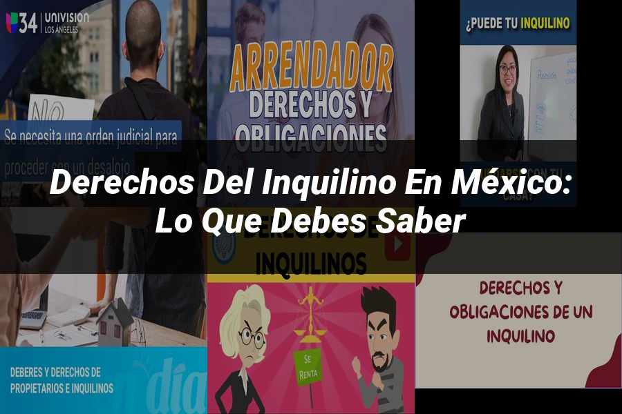 "Derechos del inquilino en México: lo que debes saber"