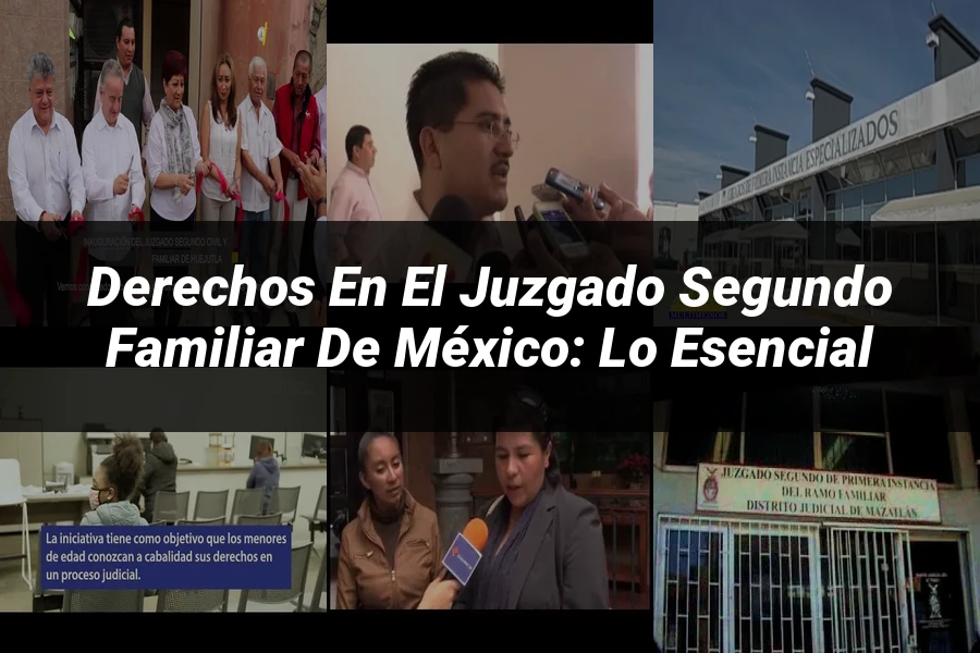 "Derechos en el juzgado segundo familiar de México: lo esencial"
