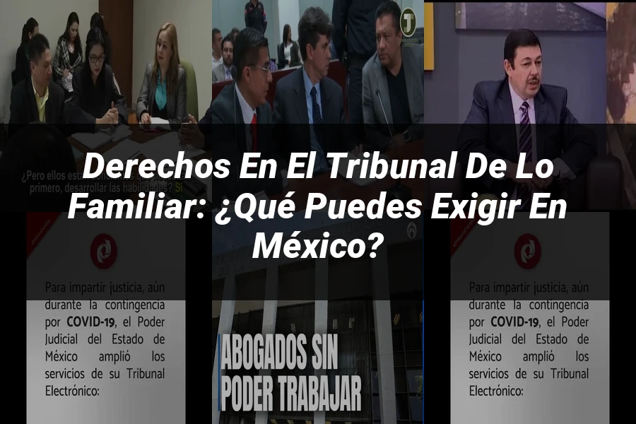 "Derechos en el tribunal de lo familiar: ¿Qué puedes exigir en México?"