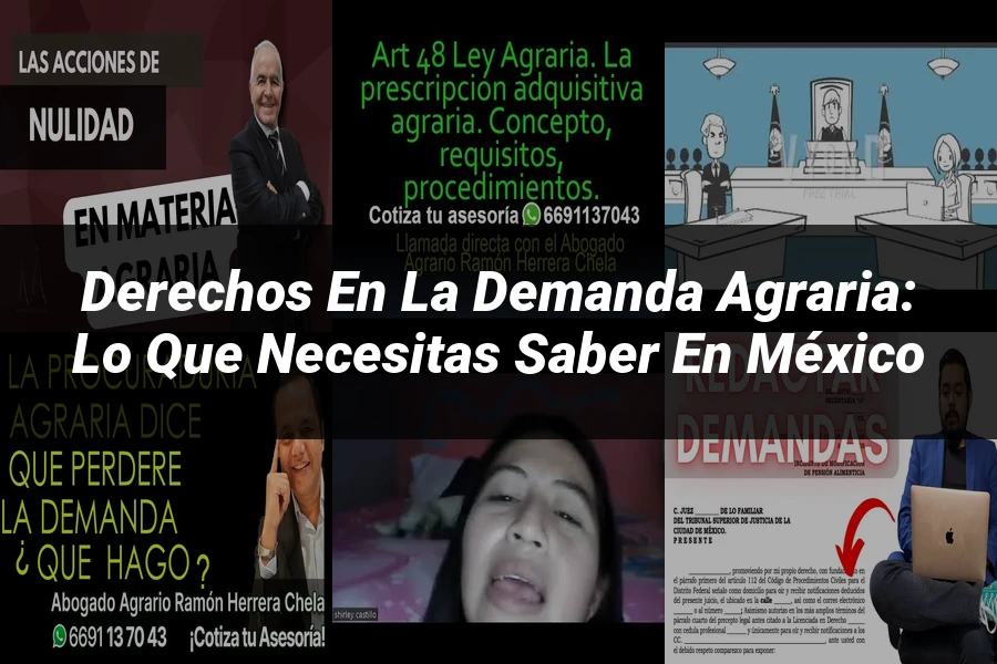 "Derechos en la demanda agraria: lo que necesitas saber en México"