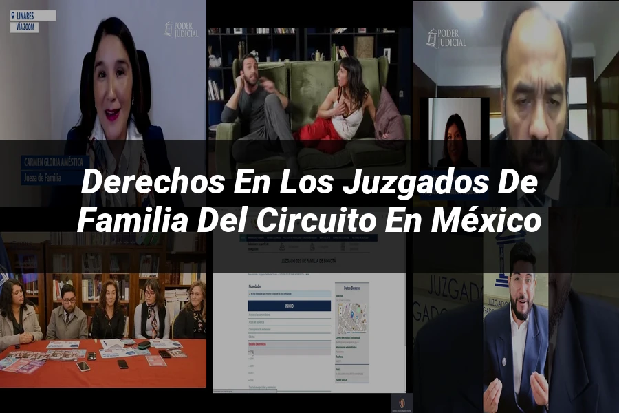 "Derechos en los Juzgados de Familia del Circuito en México"