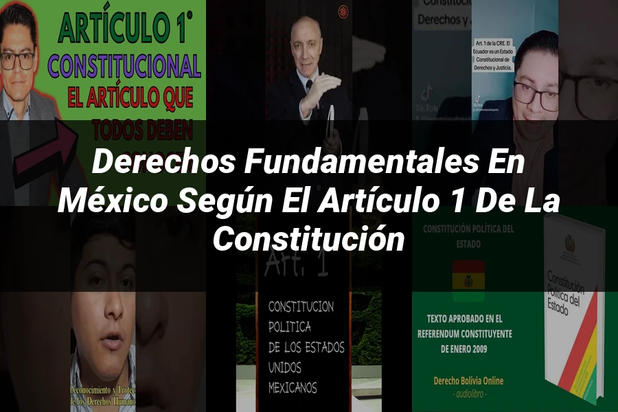 "Derechos fundamentales en México según el artículo 1 de la Constitución"