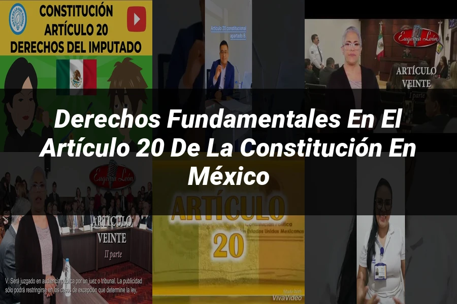 "Derechos fundamentales en el artículo 20 de la Constitución en México"