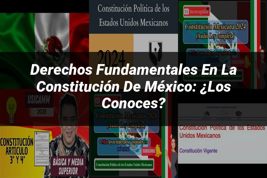"Derechos fundamentales en la Constitución de México: ¿los conoces?"