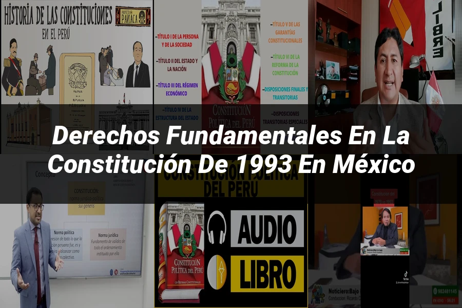 "Derechos fundamentales en la constitución de 1993 en México"