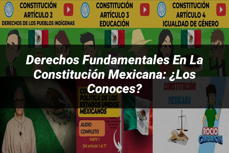 "Derechos fundamentales en la constitución mexicana: ¿los conoces?"