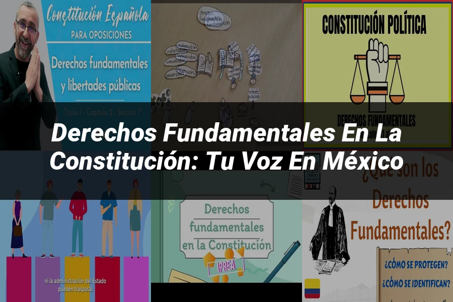 "Derechos fundamentales en la constitución: tu voz en México"